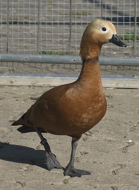 广西与香港