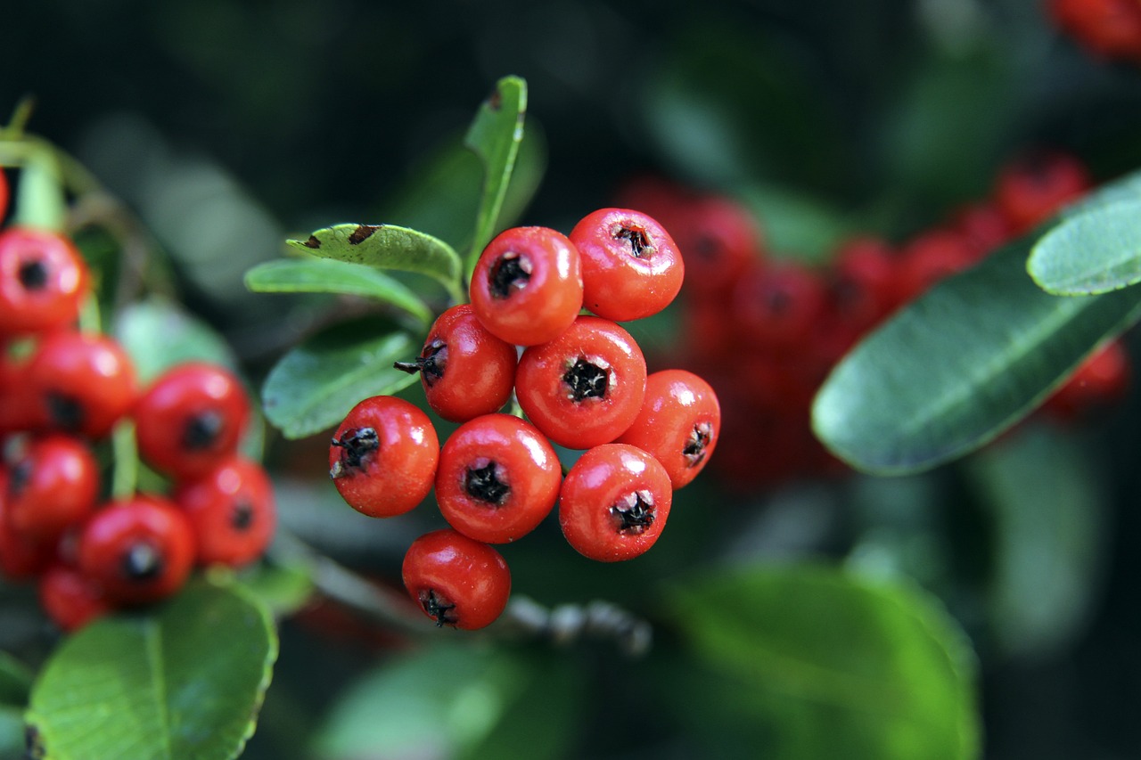 谁更适合递 谁更适合递