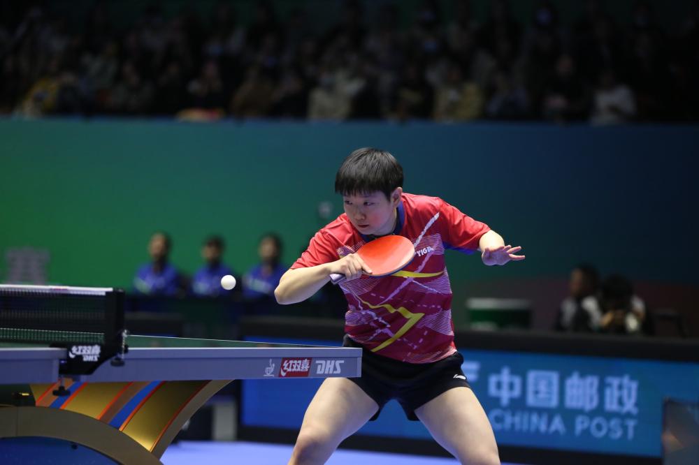 鹈鹕的当家 鹈鹕的当家