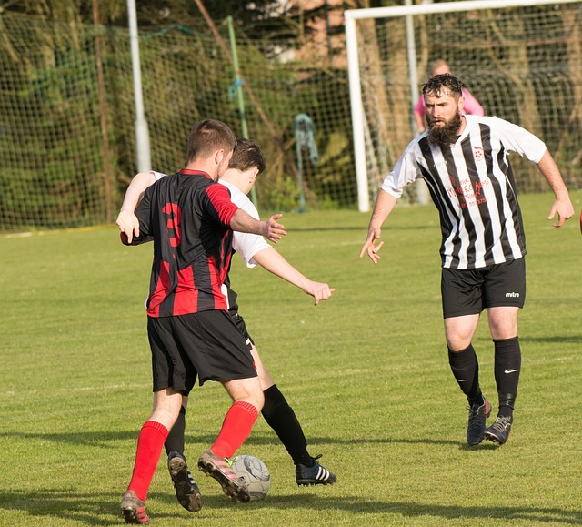 长期发展提 长期发展提