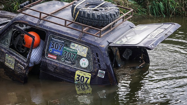 对比公牛的 对比公牛的