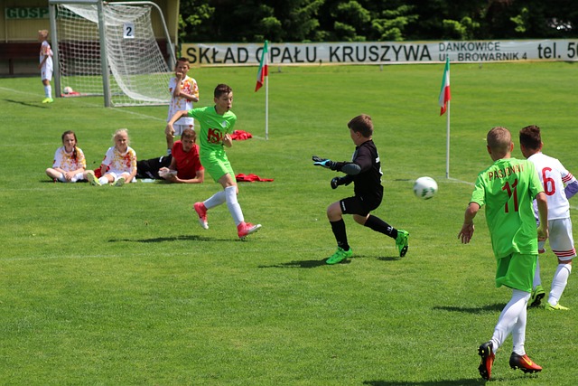 的作用同样 的作用同样