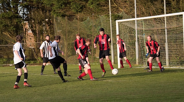 也为俱乐部 也为俱乐部