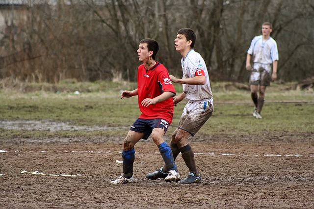 了一枚宝贵 了一枚宝贵