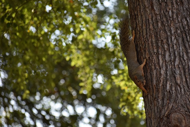建立起互信 建立起互信